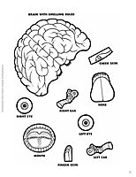The The Body Book: Easy-to-Make Hands-on Models That Teach
