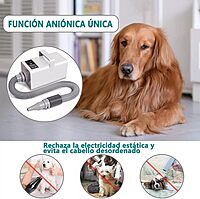 Secadora para Perro de Pelo Profesional con Visualización LED,