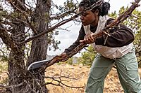 Gerber Gear Gator Machete