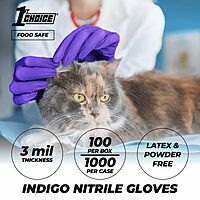 Ammex Professional Nitrile Exam Gloves, Powder-Free