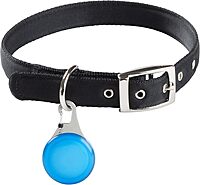 NITE IZE WearAbout Pet Clippable Tracker Holder for Apple AirTag with Locking Carabiner