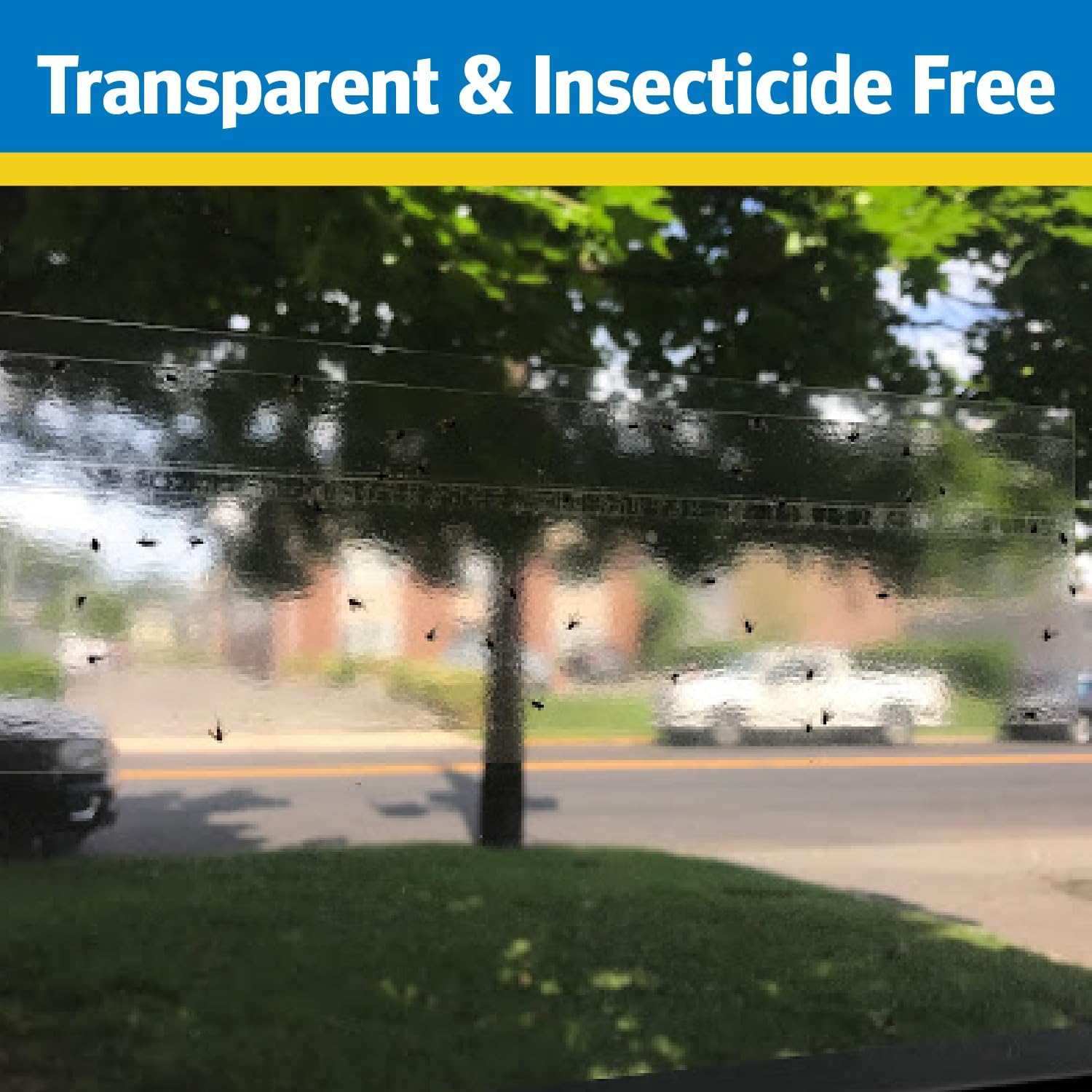 Raid Window Fly Traps, 4 Count (Pack of 4)