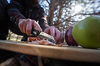 Schrade Delta Class Ultimatum Folder 8in with 3.5in AUS-8 Steel Blade and G10 Handle for Hunting and EDC