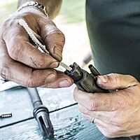 Otis Technology Pipe Cleaners (100 Pack), Multi, one Size (FG-857-100)