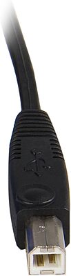 StarTech.com SVUSB2N1 2-in-1 USB + VGA KVM Cable