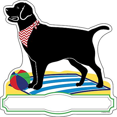 Barker Creek Double-Sided Die-Cut Accents Card Stock Cut-Outs