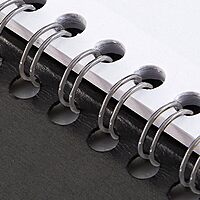 AT-A-GLANCE DayMinder Weekly Appointment Book Planner