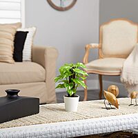 Nearly Natural 9in. Pothos Artificial Plant in White Planter (Real Touch) 1 Count (Pack of 1)