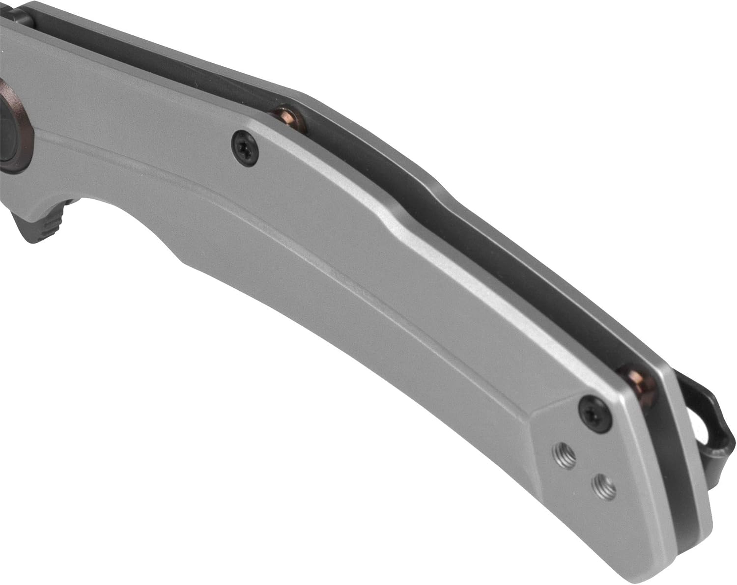 Kershaw Believer Assisted Opening Knife Stainless Steel (3.25" Gray PVD) 2070