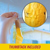 PIC FR10B 69060216325 Fly Ribbons Fruit Fly Traps for Indoors and Outdoors, Bug Trap for Winged Insects, Set of 10