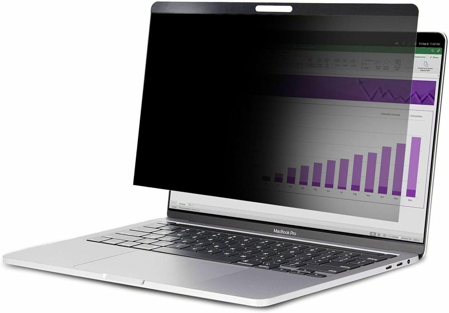 StarTech.com Magnetic Laptop Privacy Screen - Reversible Matte/Gloss Blue Light Filter