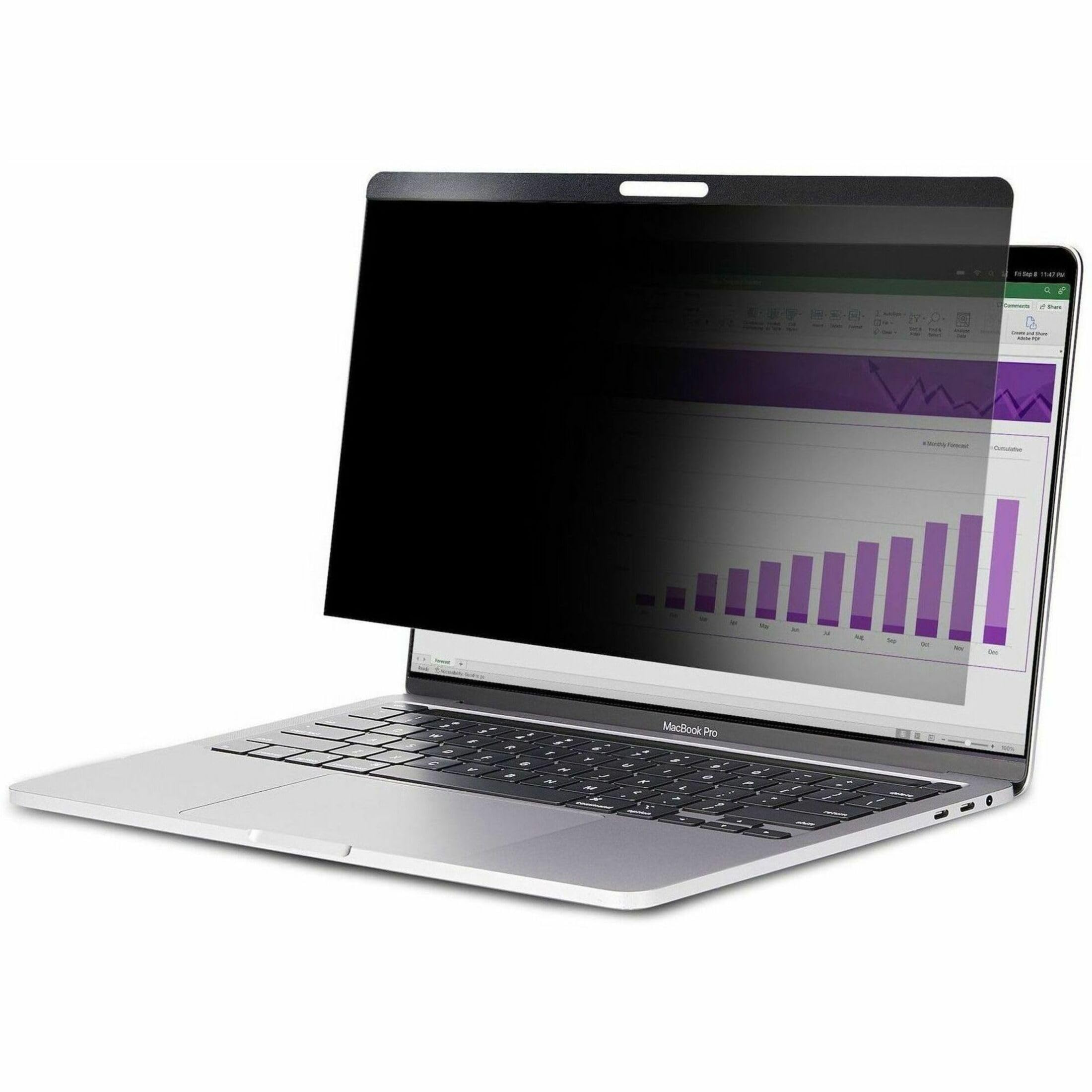 StarTech.com Magnetic Laptop Privacy Screen - Reversible Matte/Gloss Blue Light Filter
