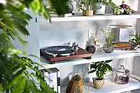 Audio-Technica LPW50BTRW wireless Belt-drive turntable