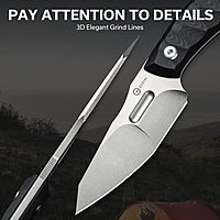 CIVIVI Propugnator EDC Fixed Blade Knife with Kydex Sheath, T-Clip and Lanyard, 4.15" D2 Blade