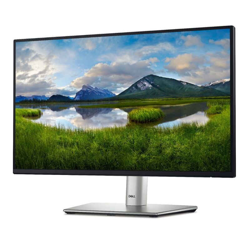Dell P2425H 24in Class Full HD LED Monitor - 16:9 - Black, Silver - 23.8in Viewable - In-plane Switching (IPS) Technology - DELLP2425H