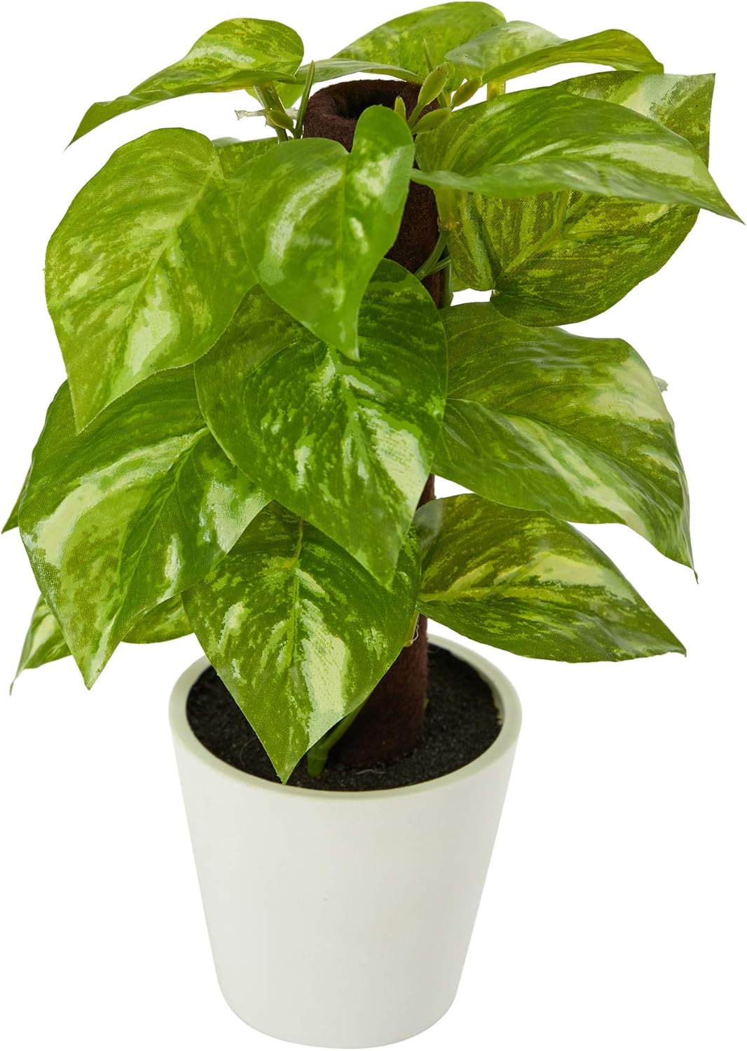 Nearly Natural 9in. Pothos Artificial Plant in White Planter (Real Touch) 1 Count (Pack of 1)