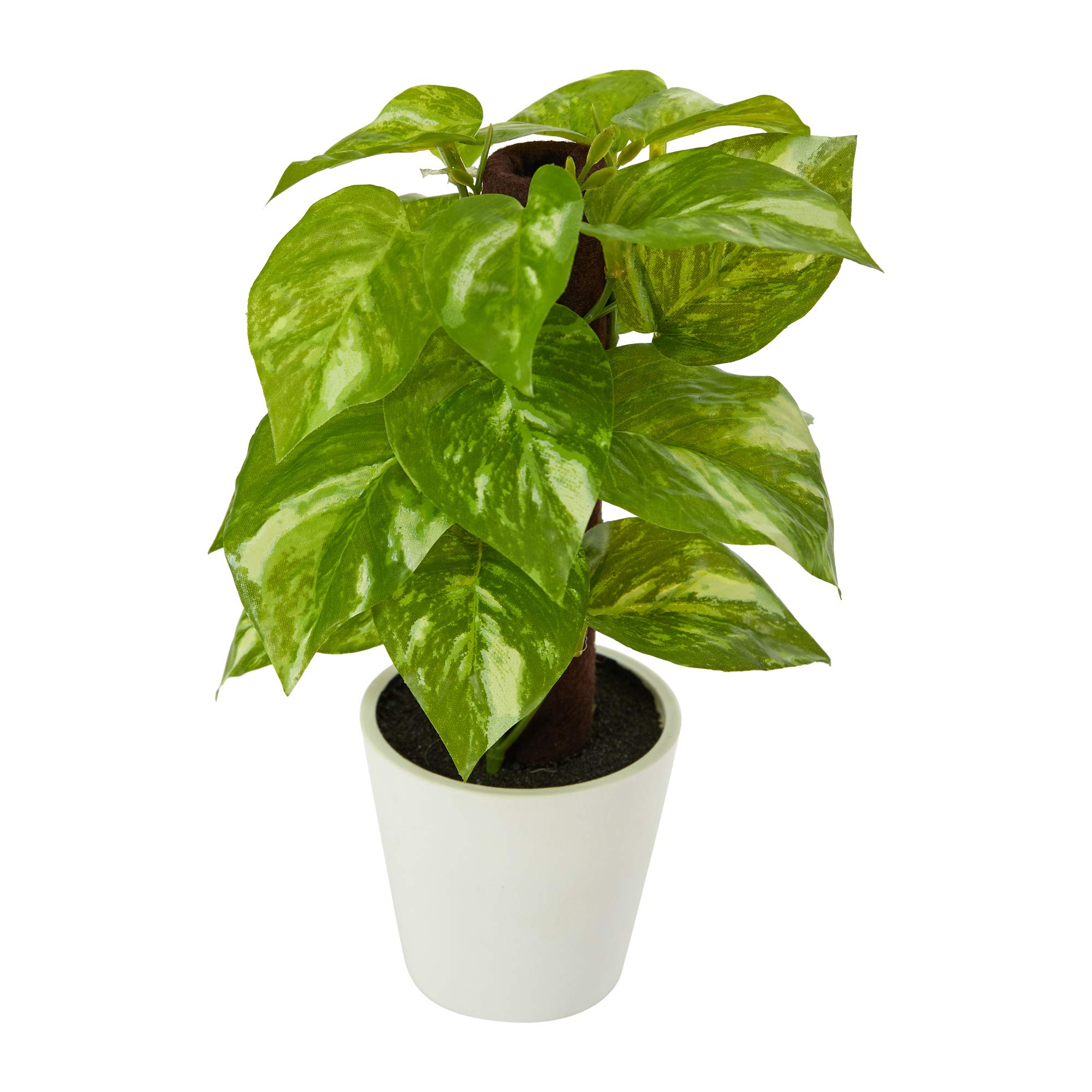 Nearly Natural 9in. Pothos Artificial Plant in White Planter (Real Touch) 1 Count (Pack of 1)