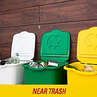 PIC FR10B 69060216325 Fly Ribbons Fruit Fly Traps for Indoors and Outdoors, Bug Trap for Winged Insects, Set of 10