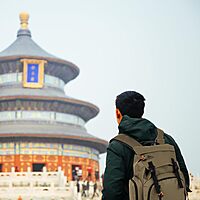 Kelty Hiking Backpacks 23 L Canvas Travel Laptop Backpack for Men Women, 18" Business Work Rucksack College Computer Bag (Olive Travel Pack)