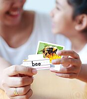 Key Education Big Box of Easy-to-Read Sight Words Puzzle, 250 Photo and Vocabulary Pieces