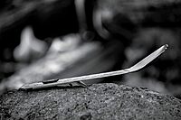 Gerber Gear Devour Multi-Fork Camp Eating Tool