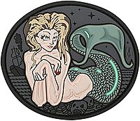 MAXPEDITION 3D PVC Morale Patch