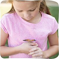 Insect Lore Raise and Release Butterfly Garden Kit – Caterpillar Habitat with redeemable Voucher – STEM-accredited Live Butterfly Growing Kit for Kids, Classrooms, and Homeschool Learning