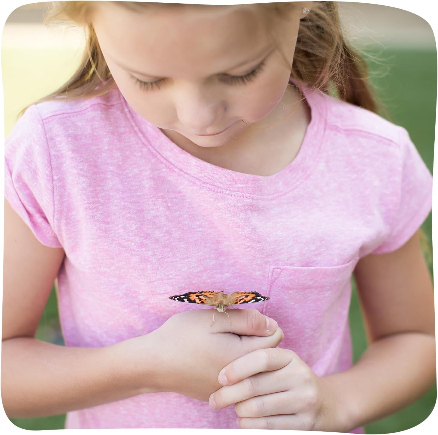 Insect Lore Raise and Release Butterfly Garden Kit – Caterpillar Habitat with redeemable Voucher