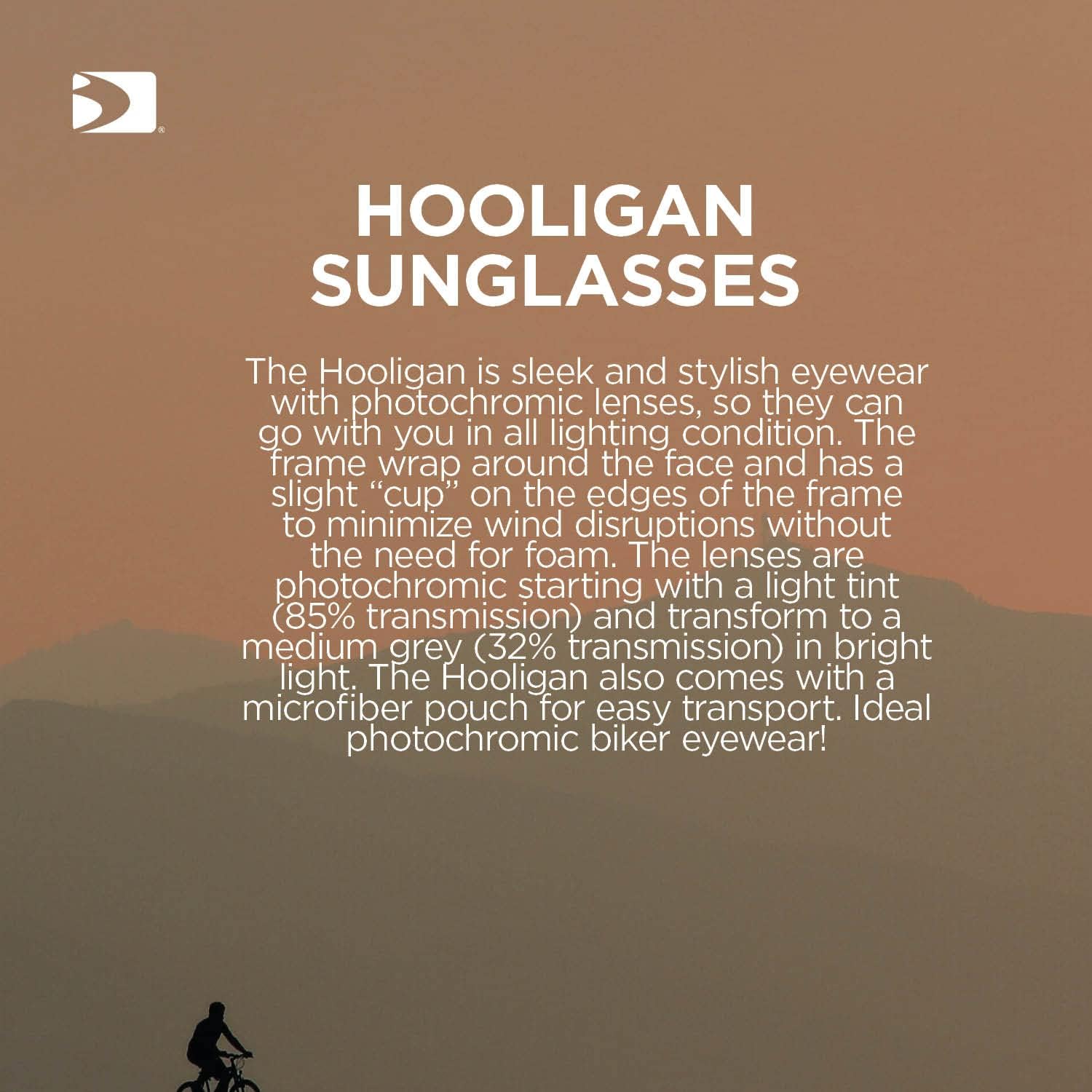 Bobster ® Hooligan, Gloss Black Frame, Clear Photochromic Lens