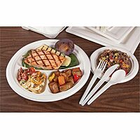 ECO-PRODUCTS Plantware CPLA Compostable Cutlery, Case of 1000