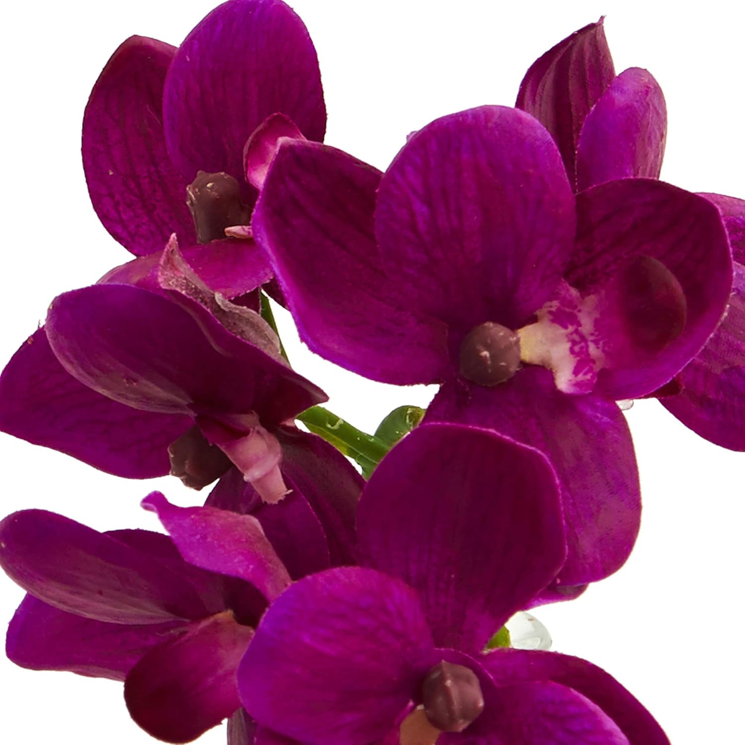 Nearly Natural 4208-S3 9" Phalaenopsis Orchid Artificial Arrangement in Vase (Set of 3), Multi/Color
