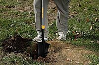 Wood D-Handle Drain Spade Hardwood Handle Drain Trench Spade