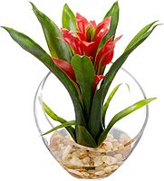 Nearly Natural Tropical Bromeliad 8inH Artificial Floral Arrangement With Angled Vase, 8inH x 6inW x 6inD, Red