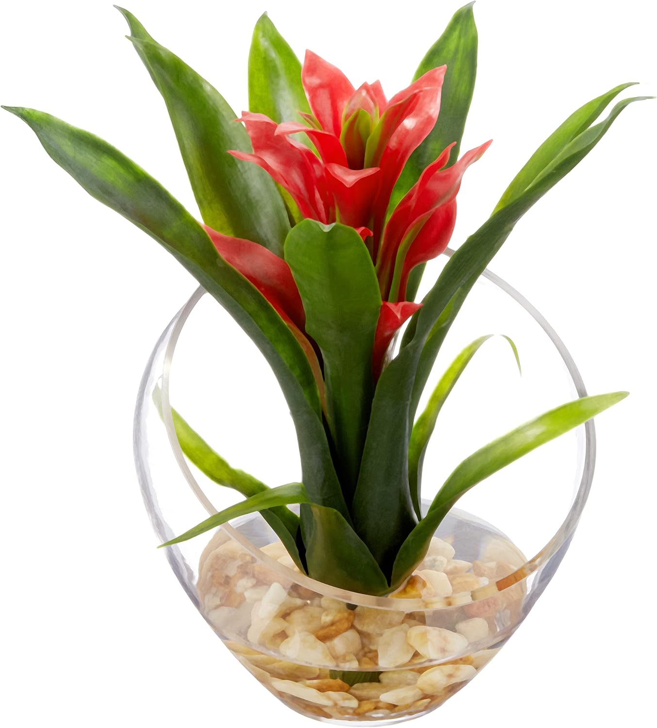 Nearly Natural Tropical Bromeliad 8inH Artificial Floral Arrangement With Angled Vase, 8inH x 6inW x 6inD, Red