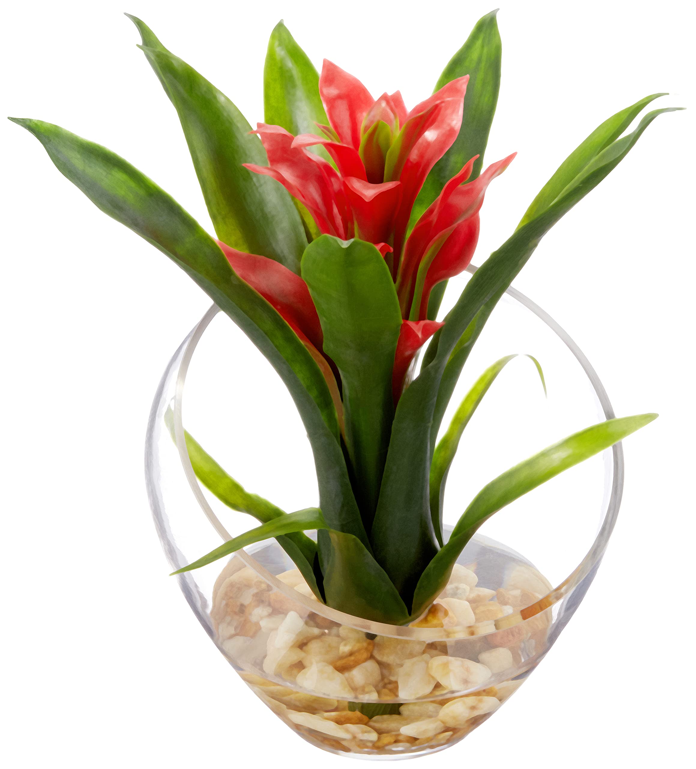 Nearly Natural Tropical Bromeliad 8inH Artificial Floral Arrangement With Angled Vase, 8inH x 6inW x 6inD, Red