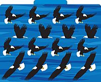 Barker Creek Designer File Folders Set of 12, Sea & Sky, Multi-Design, Reversible, Colorful Patterns Inside and Out