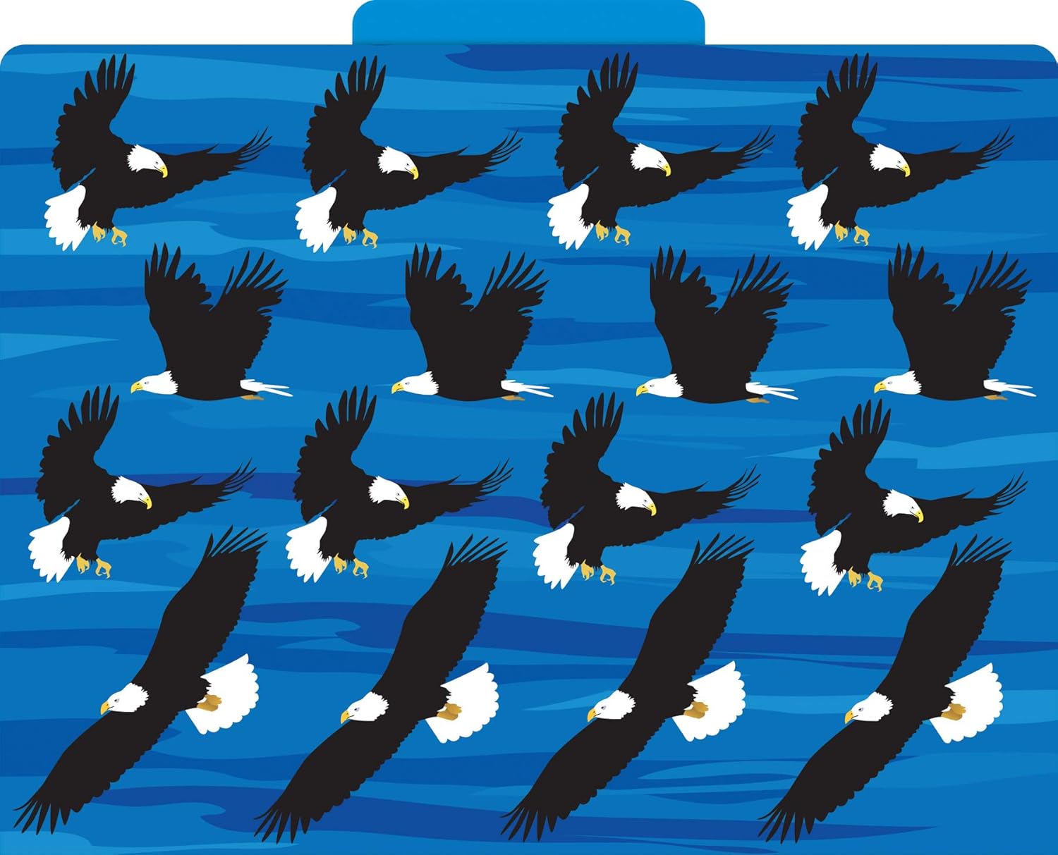 Barker Creek Designer File Folders Set of 12, Sea & Sky, Multi-Design, Reversible, Colorful Patterns Inside and Out