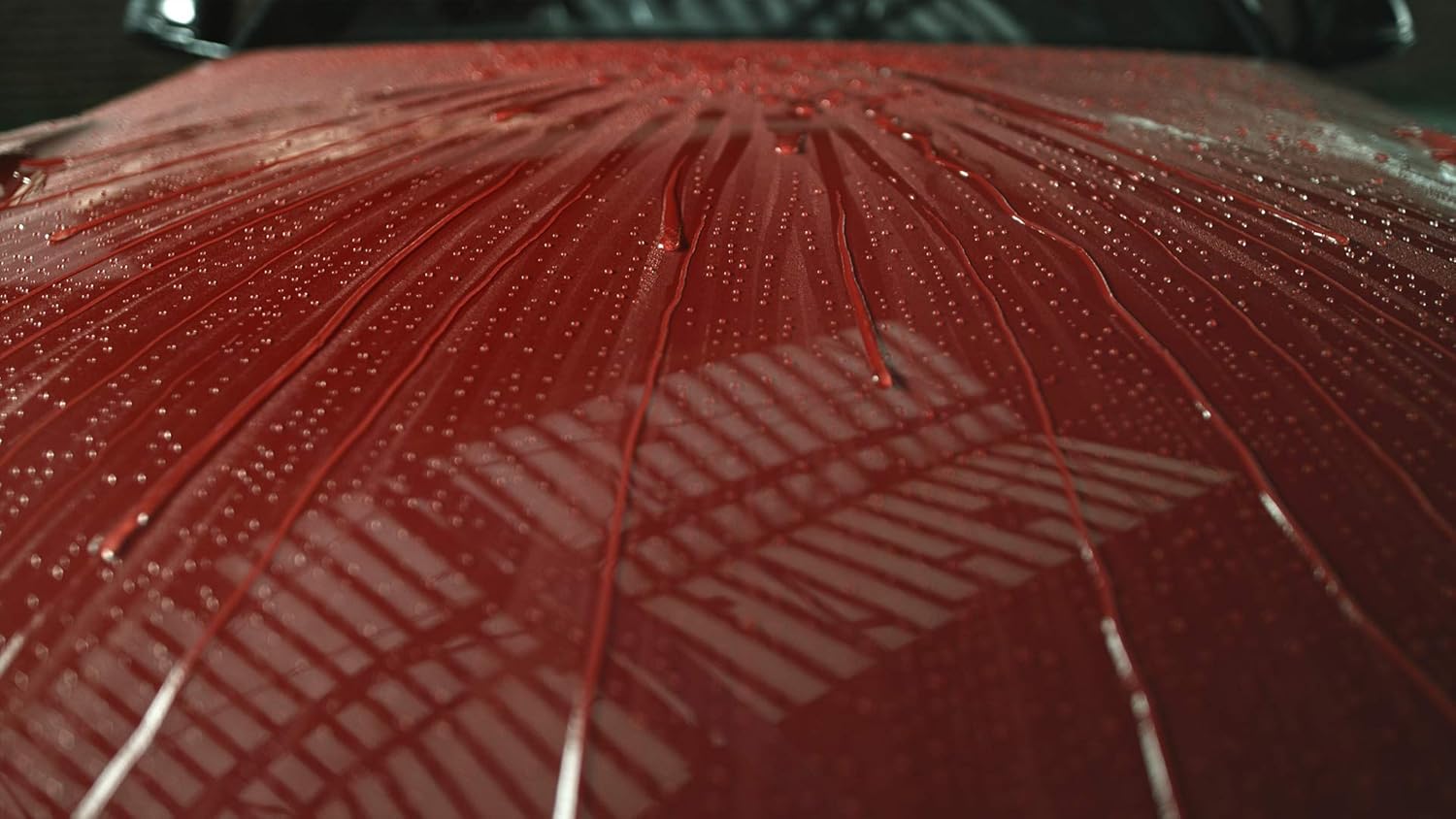 303 Products Touchless Sealant - SiO2 Technology - Water Activated Paint and Glass Protection - Spray On, Rinse Off