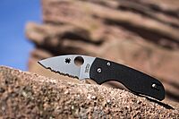 SPYDERCO Lil' Native Folding Knife - CPM S30V, Compression Lock