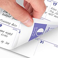 AT-A-GLANCE Wall Calendar, 8.5 x 11, Small, Monthly Unruled Blocks