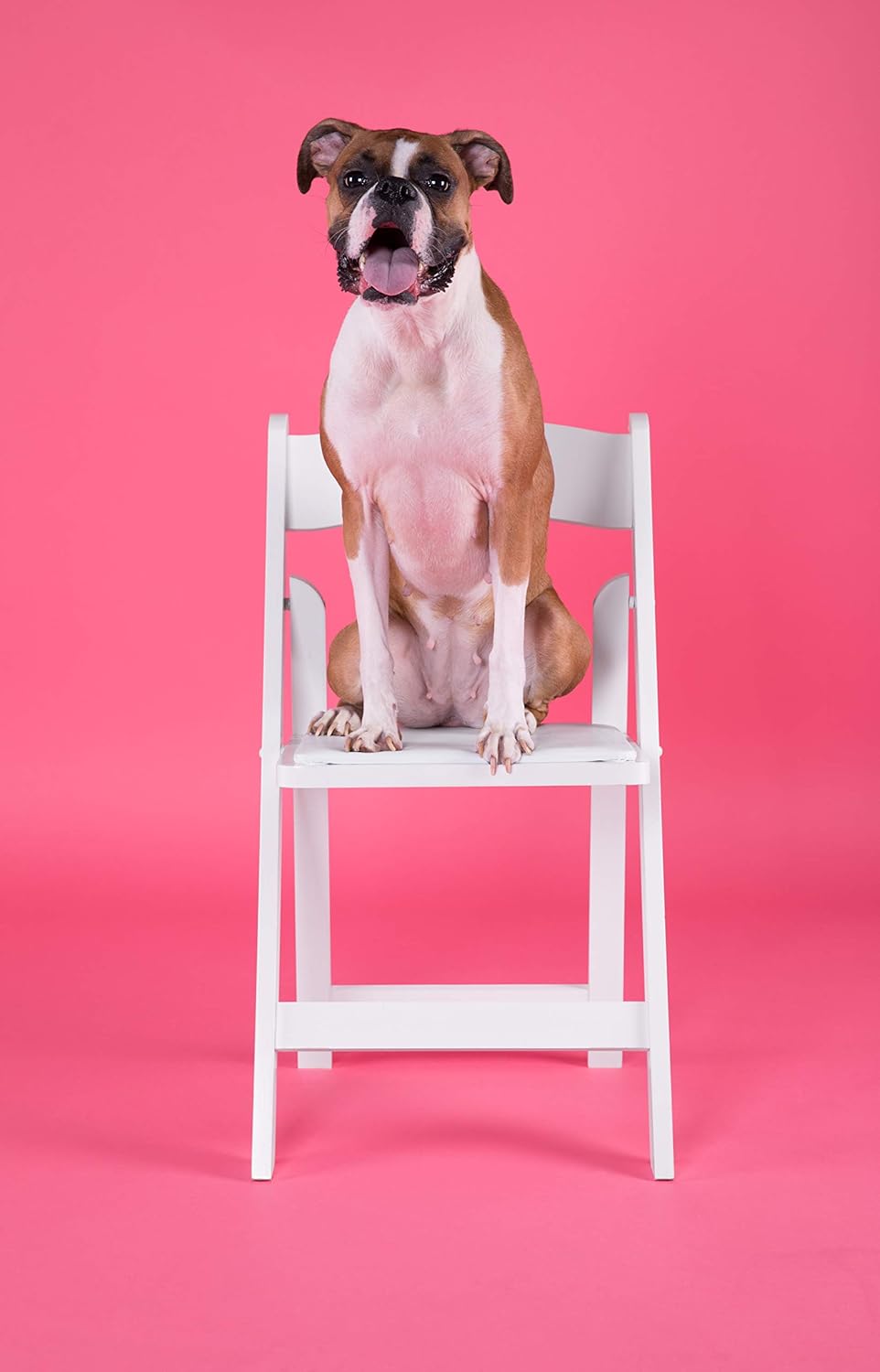 Flash Furniture Hercules Series Folding Chair - Resin Event Chair