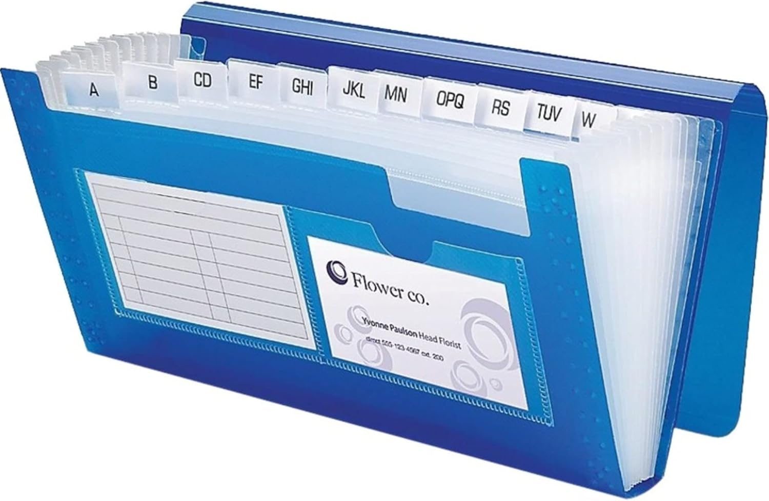 Office Depot® Brand Poly 13-Pocket File, Check Size, Blue