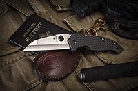 Spyderco Canis Knife with 3.43" CPM S30V Stainless Steel Blade and Carbon Fiber G-10 Laminate Handle - PlainEdge - C248CFP