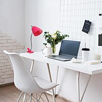 LIMELIGHTS Flossy Flexible Gooseneck Clip-On Desk Lamp