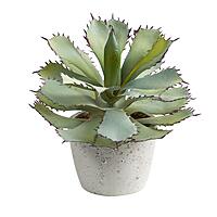 Nearly Natural Succulent 11inH Artificial Plant With Planter, 11inH x 10inW x 10inD, Green/White