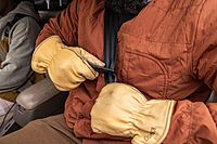 Gerber Gear Strap Cutter