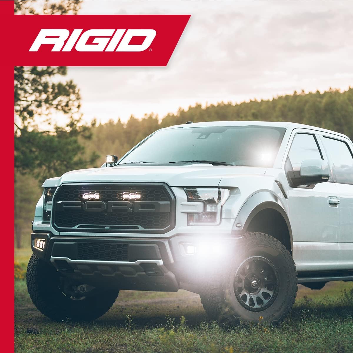 Rigid Industries - White D-Series Pro Hybrid Flood Surface Mount, Set of 2