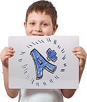 FLIPSIDE PRODUCTS Two-Sided Dry Erase White Boards Class Pack - 24 Pack