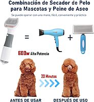 Secador de Pelo Portátil de Mano para Perros,600W