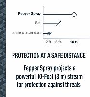 SABRE Protector Dog Spray with Key Ring, 14 Bursts, 12-Foot Range
